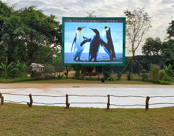 广州长隆集团飞鸟乐园、野动物园户外LED屏相继交付使用！
